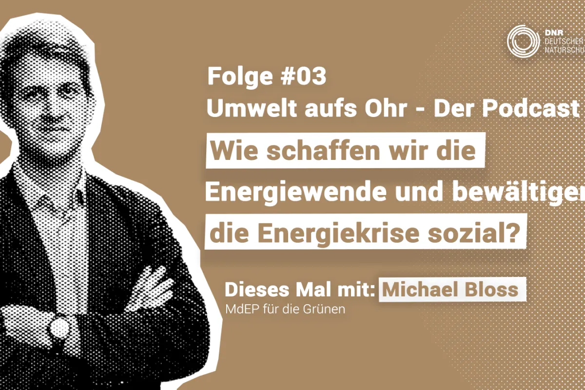 Wie schaffen wir die Energiewende und bewältigen die Energiekrise sozial?
